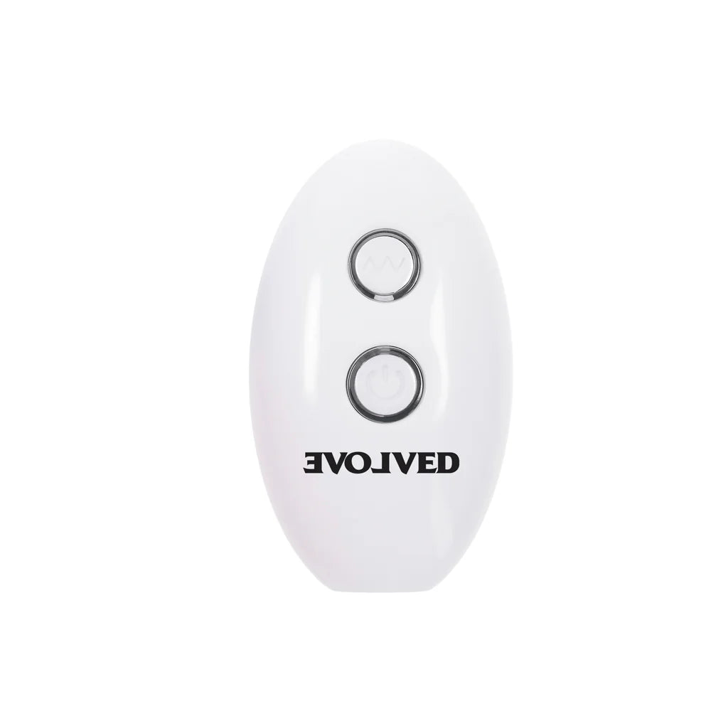 TESTER - Evolved Paradise Plug w R/C