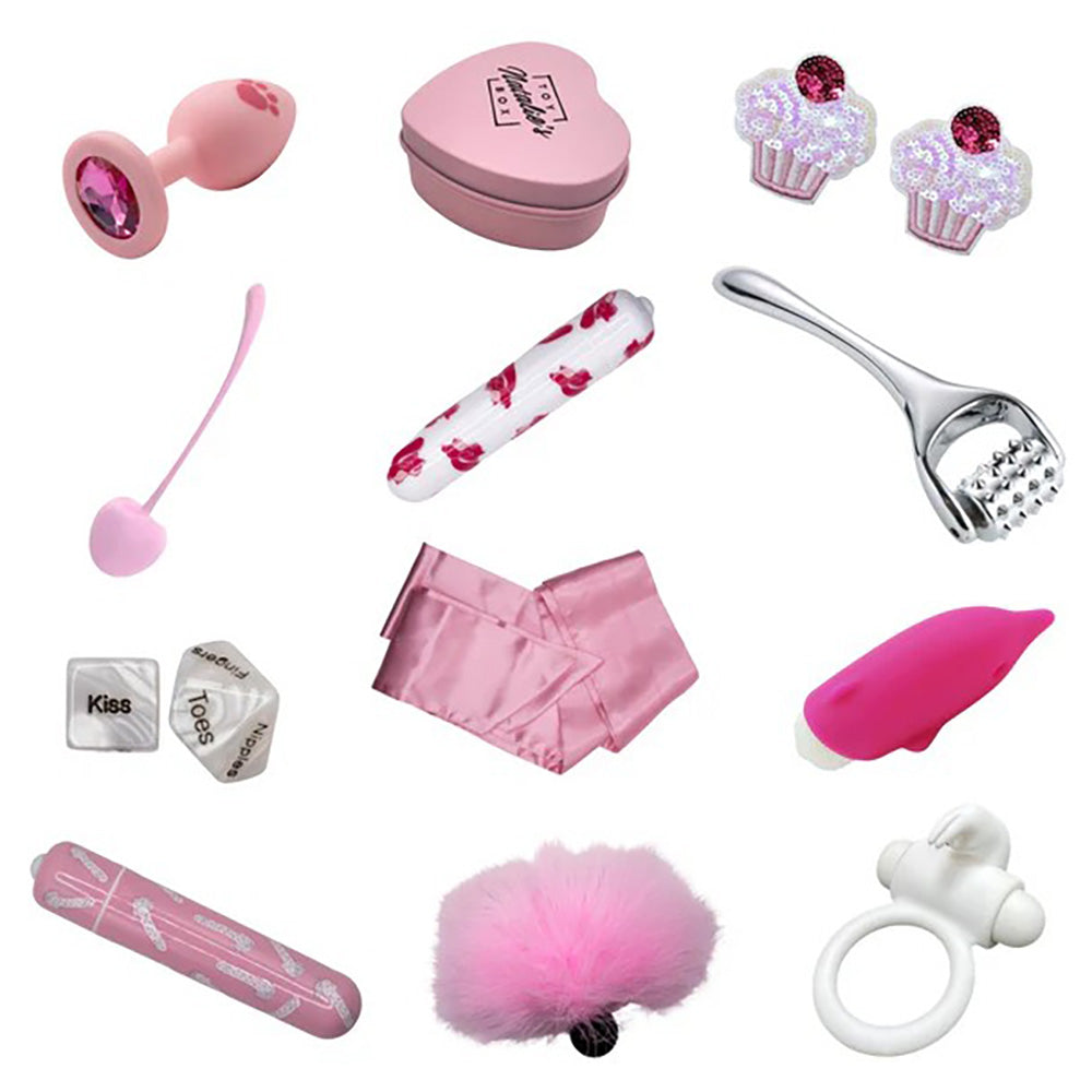 Mystery Box 12 Pc. Display – Natalie’s Toy Box Edition