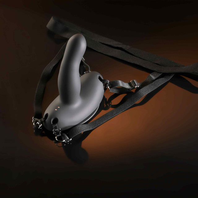 TESTER - Evolved Come Closer - harness with RC vibrating