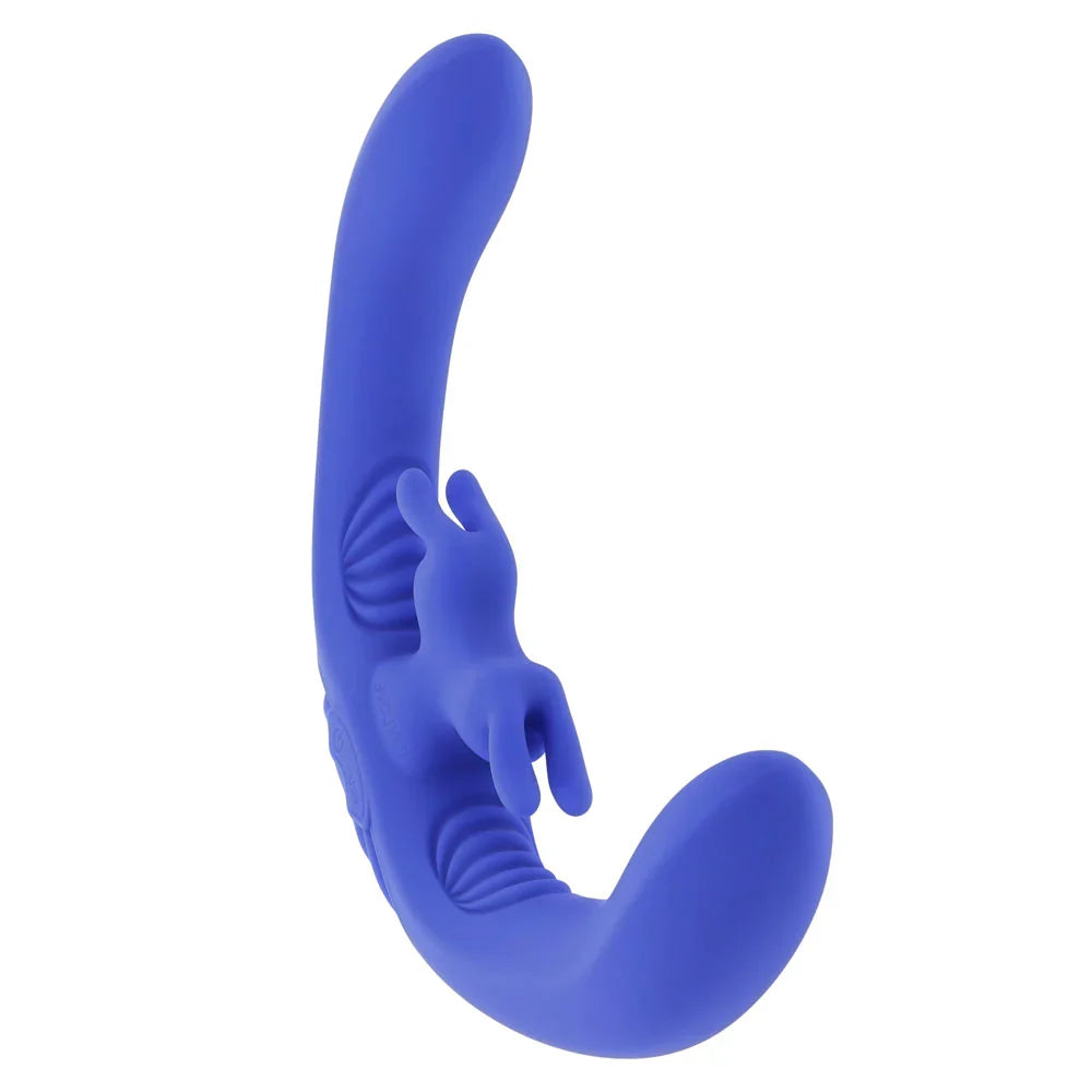 TESTER - Evolved - Lovebirds remote control