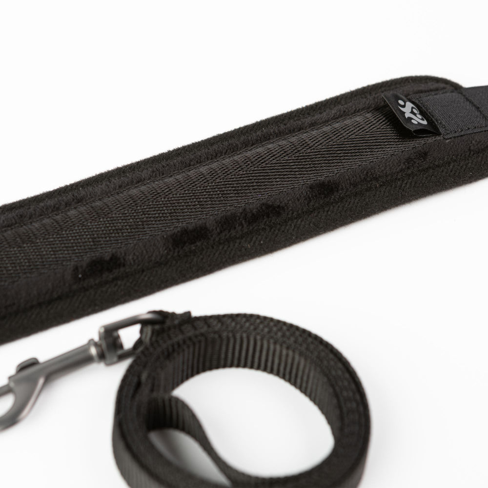SEI MIO Take the Lead Padded Collar/Leas
