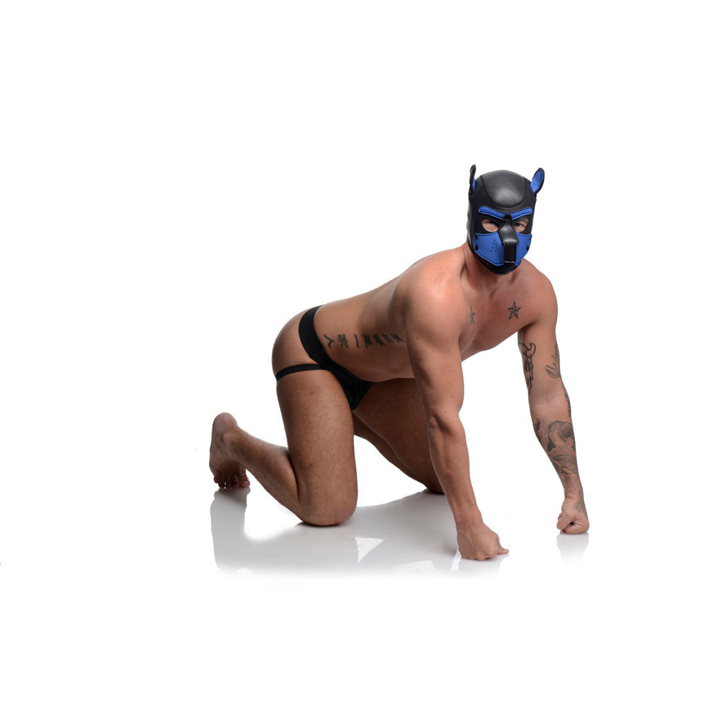 Spike Neoprene Puppy Hood - Blue