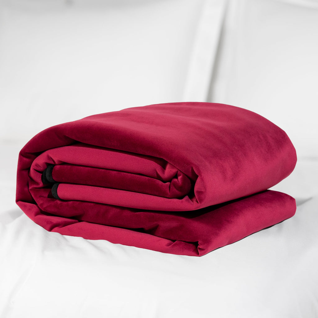 FASCINATOR THROW MERLOT MICROVELVET - REGULAR SIZE