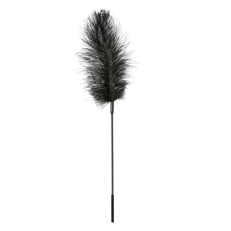 Chatouilleur Autruche, Noir