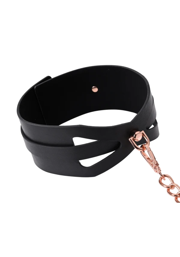 Collier et laisse Brat